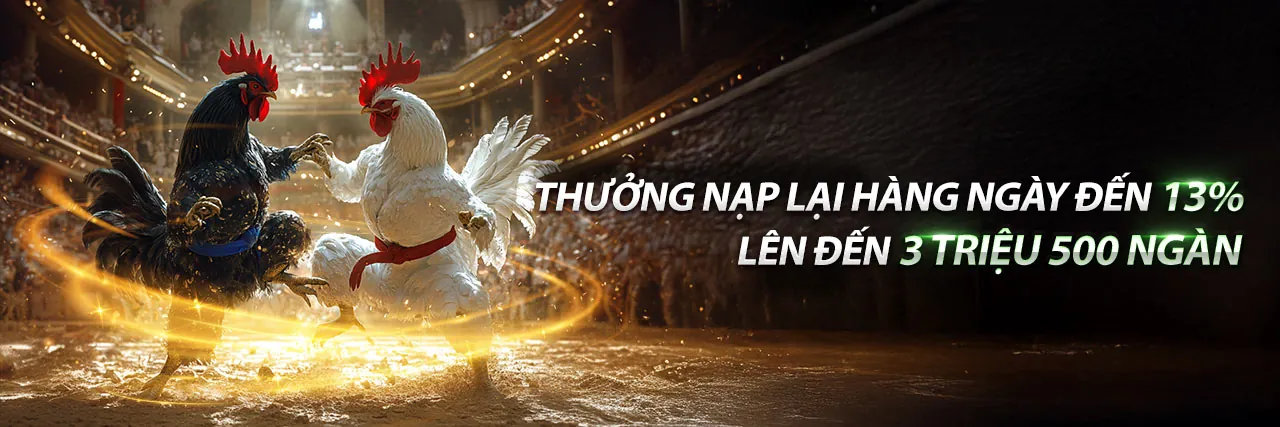 Đá gà Thomo 5/7 trực tiếp